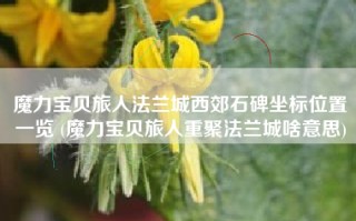 魔力宝贝旅人法兰城西郊石碑坐标位置一览 (魔力宝贝旅人重聚法兰城啥意思)
