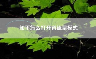 知乎怎么打开省流量模式