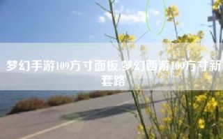 梦幻手游109方寸面板,梦幻西游109方寸新套路