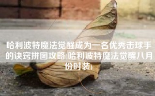 哈利波特魔法觉醒成为一名优秀击球手的诀窍拼图攻略(哈利波特魔法觉醒八月份时装)