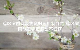 暗区突围队友物资归还机制介绍(暗区突围队友物资怎么不归还)