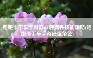跑跑卡丁车手游陆战舰属性技能攻略(跑跑卡丁车手游最强角色)