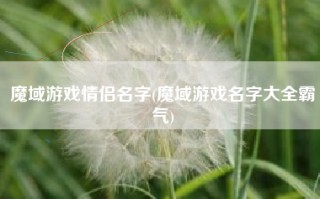 魔域游戏情侣名字(魔域游戏名字大全霸气)
