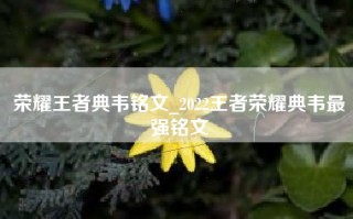 荣耀王者典韦铭文_2022王者荣耀典韦最强铭文