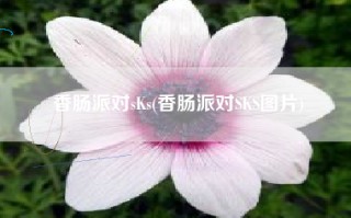 香肠派对sKs(香肠派对SKS图片)