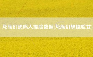 龙族幻想鸣人捏脸数据(龙族幻想捏脸女)