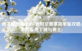 地下城与勇士DNF超时空要塞简单版攻略(单机版地下城与勇士)