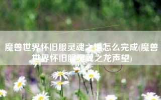 魔兽世界怀旧服灵魂之语怎么完成(魔兽世界怀旧服灵翼之龙声望)