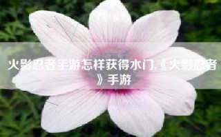 火影忍者手游怎样获得水门,《火影忍者》手游