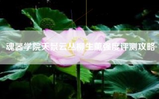 魂器学院天景云丛柳生薰强度评测攻略