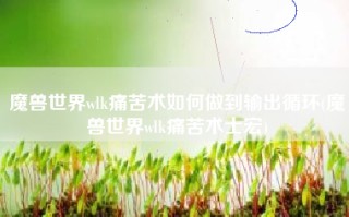 魔兽世界wlk痛苦术如何做到输出循环(魔兽世界wlk痛苦术士宏)