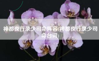 神都夜行录少司命阵容(神都夜行录少司命台词)