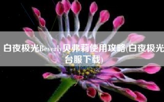 白夜极光Beverly贝弗莉使用攻略(白夜极光台服下载)