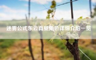 迷雾公式东云真昼角色详细介绍一览