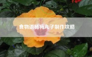 食物语杨梅丸子制作攻略