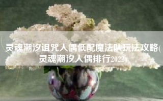 灵魂潮汐诅咒人偶低配魔法队玩法攻略(灵魂潮汐人偶排行2022)