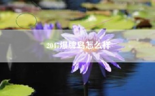 2047爆牌岛怎么样