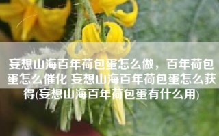 妄想山海百年荷包蛋怎么做，百年荷包蛋怎么催化 妄想山海百年荷包蛋怎么获得(妄想山海百年荷包蛋有什么用)