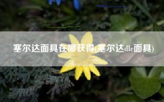 塞尔达面具在哪获得(塞尔达dlc面具)