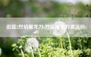 街篮2烈焰屠龙刀(烈焰屠龙刀激活码)