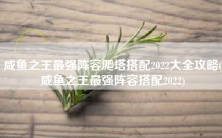 咸鱼之王最强阵容爬塔搭配2022大全攻略(咸鱼之王最强阵容搭配2022)