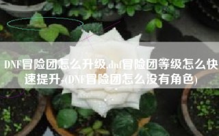 DNF冒险团怎么升级,dnf冒险团等级怎么快速提升-(DNF冒险团怎么没有角色)