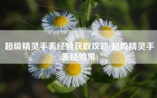 超级精灵手表经验获取攻略(超级精灵手表经验果)