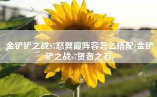 金铲铲之战S7怒翼霞阵容怎么搭配(金铲铲之战s7贤者之石)