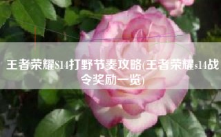 王者荣耀S14打野节奏攻略(王者荣耀s14战令奖励一览)