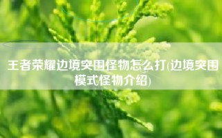 王者荣耀边境突围怪物怎么打(边境突围模式怪物介绍)