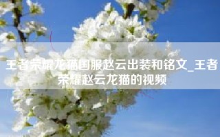 王者荣耀龙猫国服赵云出装和铭文_王者荣耀赵云龙猫的视频