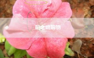 懿之吻购物