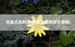 热血合击时装(热血合击时装在哪换)
