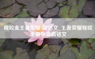 程咬金王者荣耀5级铭文_王者荣耀程咬金最强吸血铭文