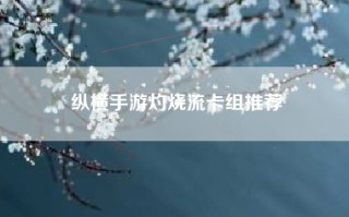 纵横手游灼烧流卡组推荐