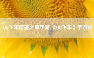 QQ飞车愿望之星手游,《QQ飞车》手游中