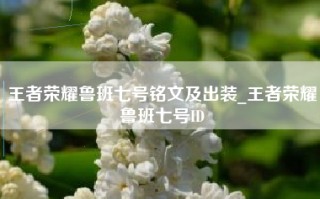 王者荣耀鲁班七号铭文及出装_王者荣耀鲁班七号ID
