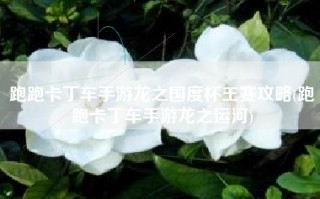 跑跑卡丁车手游龙之国度杯王赛攻略(跑跑卡丁车手游龙之运河)