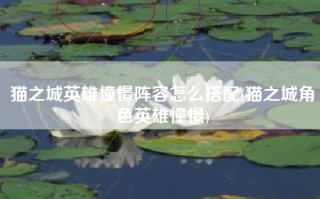猫之城英雄憧憬阵容怎么搭配(猫之城角色英雄憧憬)