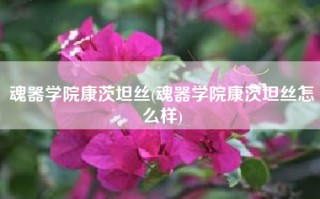 魂器学院康茨坦丝(魂器学院康茨坦丝怎么样)