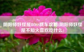 阴阳师妖怪屋BOSS胧车攻略(阴阳师妖怪屋不知火喜欢吃什么)