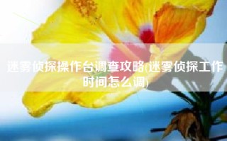 迷雾侦探操作台调查攻略(迷雾侦探工作时间怎么调)