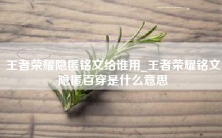 王者荣耀隐匿铭文给谁用_王者荣耀铭文隐匿百穿是什么意思
