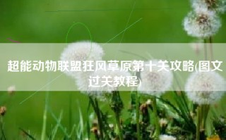 超能动物联盟狂风草原第十关攻略(图文过关教程)