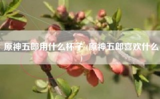 原神五郎用什么杯子 (原神五郎喜欢什么)