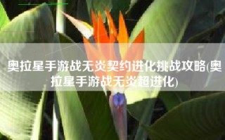 奥拉星手游战无炎契约进化挑战攻略(奥拉星手游战无炎超进化)