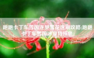 跑跑卡丁车雪国逐梦雪花速刷攻略(跑跑卡丁车雪国冰屋特殊色)