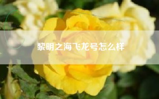 黎明之海飞龙号怎么样