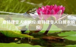 底特律变人未响应(底特律变人白屏未响应)