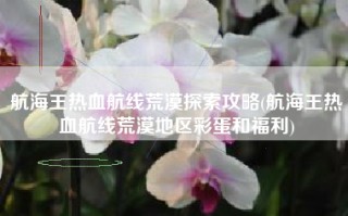 航海王热血航线荒漠探索攻略(航海王热血航线荒漠地区彩蛋和福利)